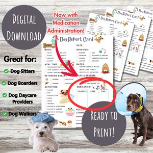 Tarjeta de informe para perros con plantilla de administración de medicamentos, tarjeta de informe para cachorros de descarga instantánea, formulario de informe para pasear perros, hoja de guía para cuidadores de mascotas