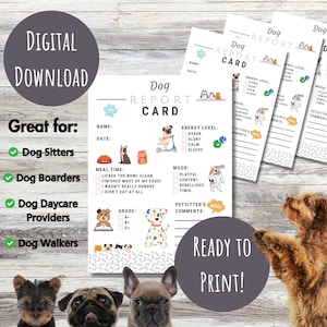 Plantilla de tarjeta de informe de perros, tarjeta de informe de mascotas de descarga instantánea, formulario de informe de paseo de perros, alojamiento de mascotas, guardería para perros, informe de cuidado de mascotas