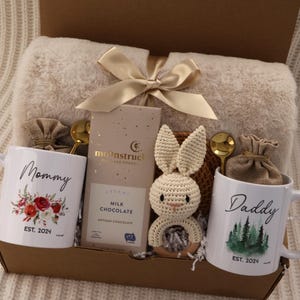 New Baby Gift Box, Congrats On Your New Baby, New Mama Succulent Gift Box, Congratulations Pregnancy Gift Set, Live Succulent Care Package Dual Mug Blanket