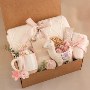 New Baby Gift Box, Congrats On Your New Baby, New Mama Succulent Gift Box, Congratulations Pregnancy Gift Set, Live Succulent Care Package Llama Candle