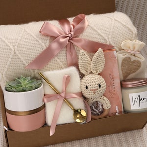 New Baby Gift Box, Congrats On Your New Baby, New Mama Succulent Gift Box, Congratulations Pregnancy Gift Set, Live Succulent Care Package BlanketPinkSucculent