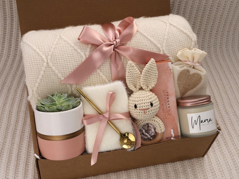 New Baby Gift Box, Congrats On Your New Baby, New Mama Succulent Gift Box, Congratulations Pregnancy Gift Set, Live Succulent Care Package BlanketPinkSucculent