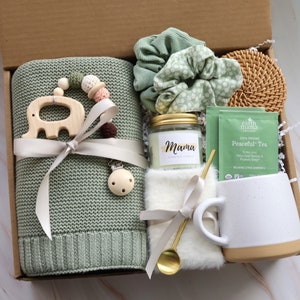 New Baby Gift Box, Congrats On Your New Baby, New Mama Succulent Gift Box, Congratulations Pregnancy Gift Set, Live Succulent Care Package BabyBlanket Elephant