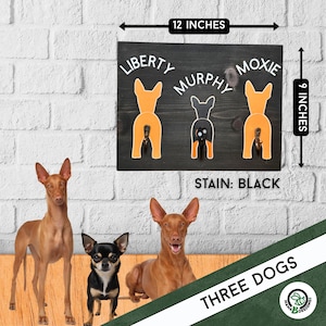 Custom painted dog leash holder featuring two Pharaoh Hounds and one Chihuahua from behind, each with a metal hook for a tail. Shown next to a photo of the real dogs. Handmade wood sign measures 12x9 inches. Personalized to match your dogs’ breeds and colors. A thoughtful gift for dog lovers and pet parents. Fun, functional wall decor for leash and collar storage.