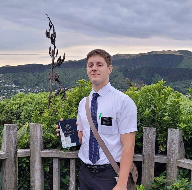 Custom Hand Painted Book of Mormon Etsy