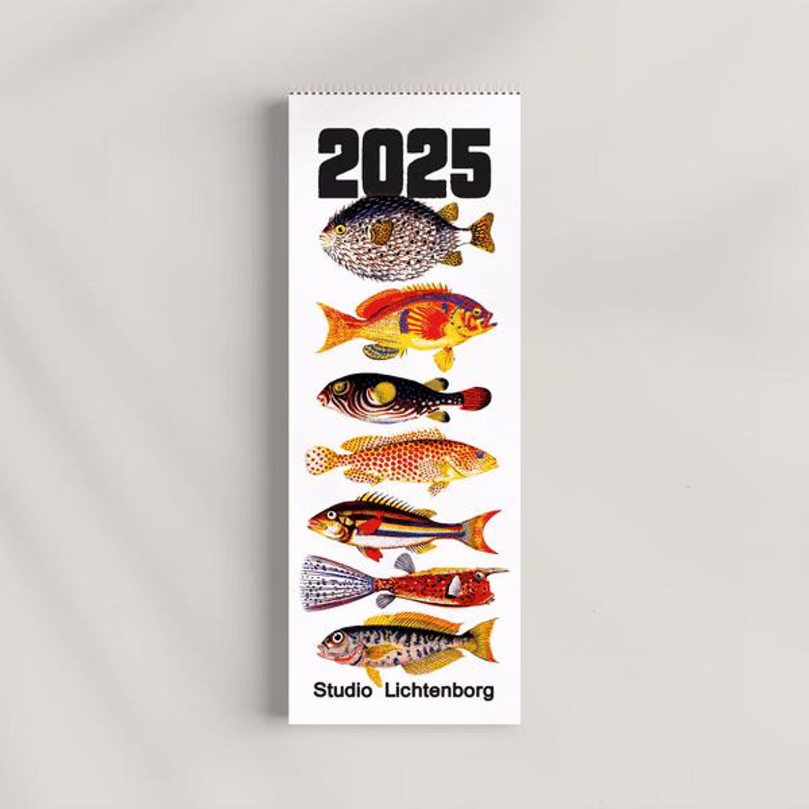 Colorful Fish Print Calendar 2025 by Studio Lichtenborg - Etsy
