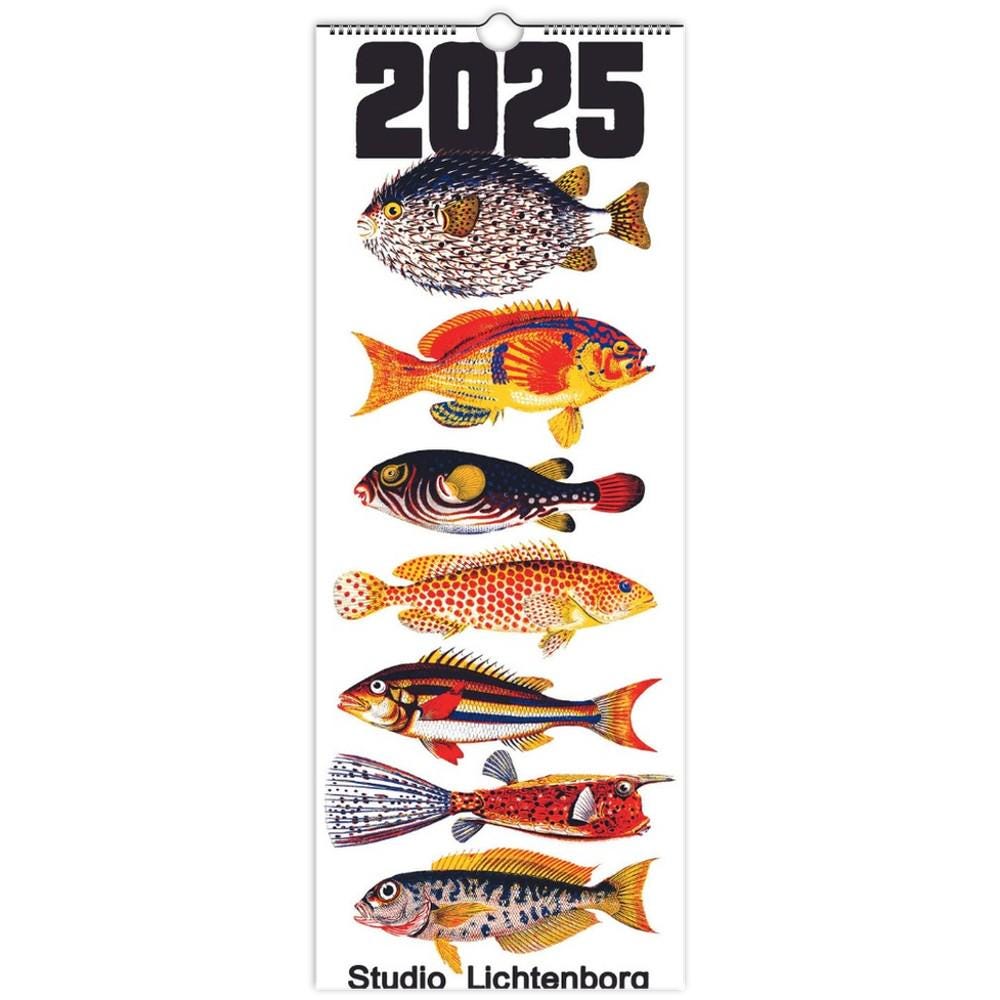 Colorful Fish Print Calendar 2025 by Studio Lichtenborg - Etsy