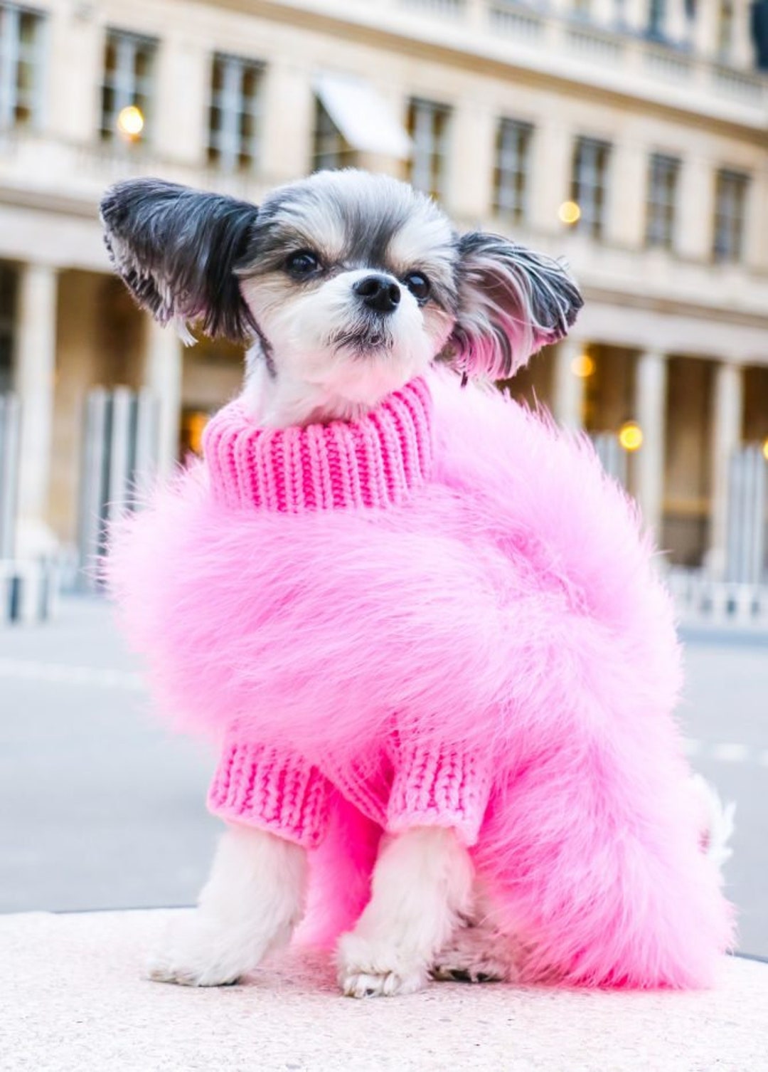 Pawtton Fluffy Luxury Dog Coat For Winter