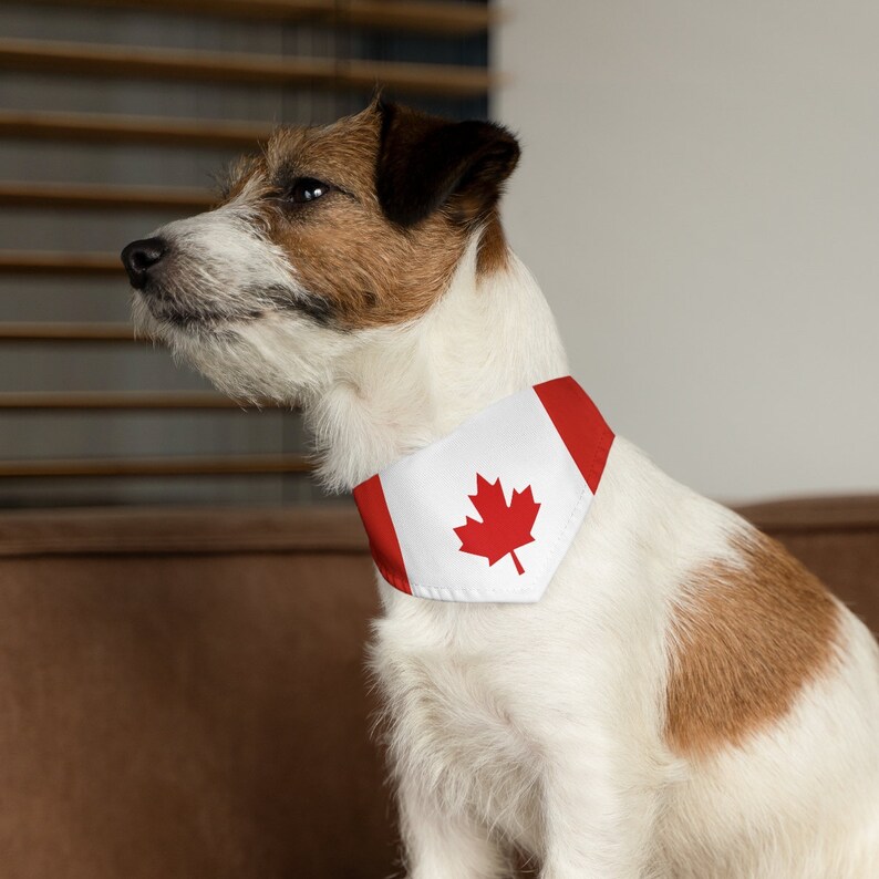 Canada Pet Bandana Collar Canadian Flag Pet Bandana Etsy