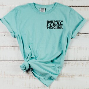 Peut inclure: Un t-shirt bleu turquoise avec le texte "Somebody's Feral Teacher" imprim&eacute; en noir sur le devant.