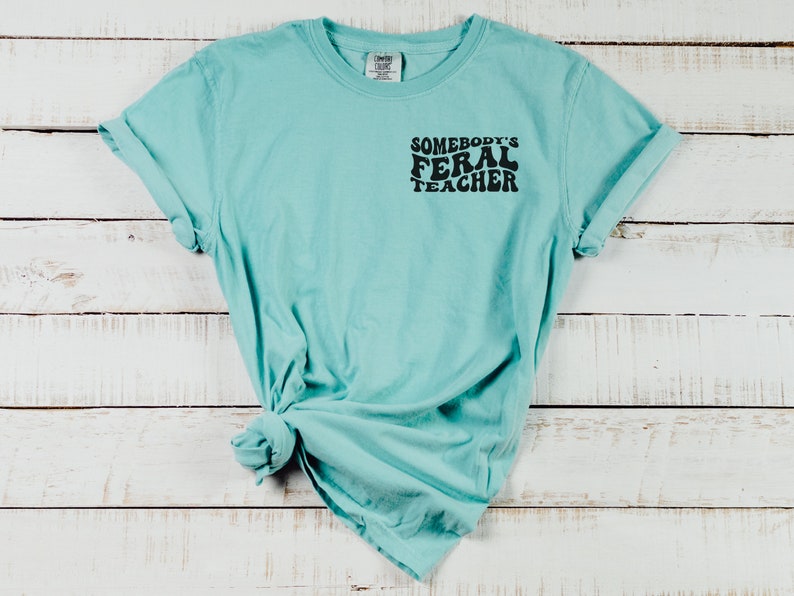 Peut inclure: Un t-shirt bleu turquoise avec le texte "Somebody's Feral Teacher" imprim&eacute; en noir sur le devant.