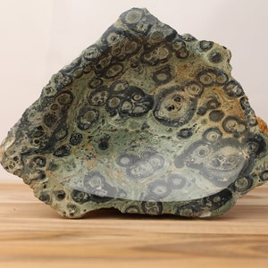 Kambaba Jasper Bowl