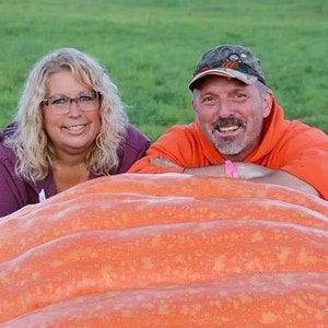 1072 lb Giant Pumpkin Seeds from proven genetics Ginormous World Record Size Award Winning Pumpkins, and growing instructions.