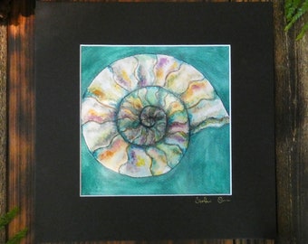 Turquoise Jurassic Ammonite Fossil | Watercolor Fine Art Print | Hand-Signed & Matted | Nautical Ocean Fossil Wall Art Decor