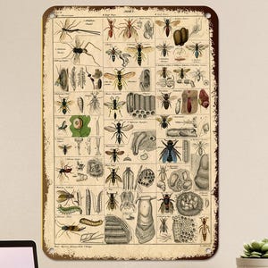 Può includere: Cartello in metallo in stile vintage con un'illustrazione dettagliata di vari insetti, tra cui api, vespe, mosche e scarabei. Il cartello ha un aspetto usurato e invecchiato con uno sfondo marrone e testo bianco.