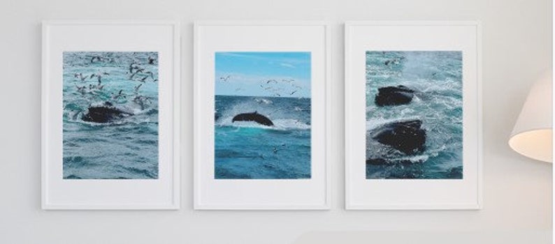 Breathtaking Hand Shot Set of 3 Whale Fine Art Prints - Etsy