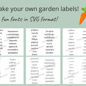 SVG files for Vegetable Garden Plant Labels | Fun Fonts for Cricut Vinyl Labels
