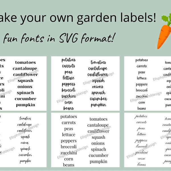 SVG files for Vegetable Garden Plant Labels | Fun Fonts for Cricut Vinyl Labels