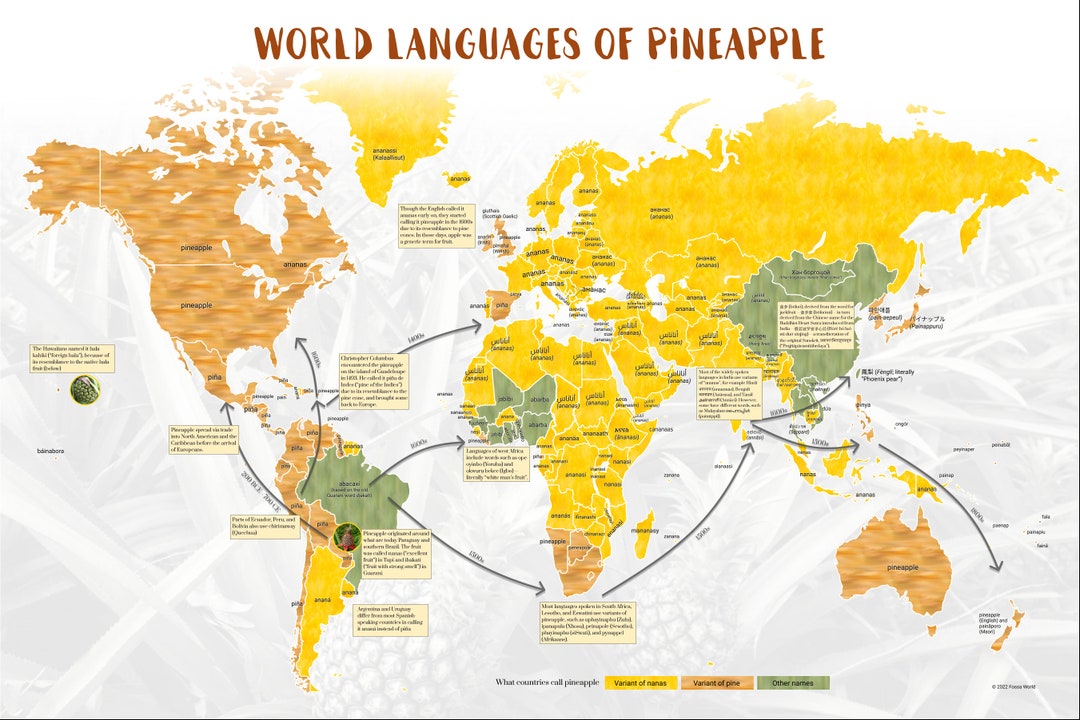 World Languages of Pineapple Poster Etsy
