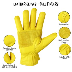 Puede incluir: Guantes de trabajo de cuero amarillo con dedos completos. Los guantes tienen un agarre fuerte, palmas de cuero suave y una banda el&aacute;stica para la mu&ntilde;eca. Los guantes est&aacute;n hechos de cuero de oveja genuino, son transpirables y c&oacute;modos.