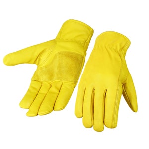 Puede incluir: Un par de guantes de trabajo de cuero amarillo. Los guantes tienen una palma y dedos reforzados para mayor durabilidad.