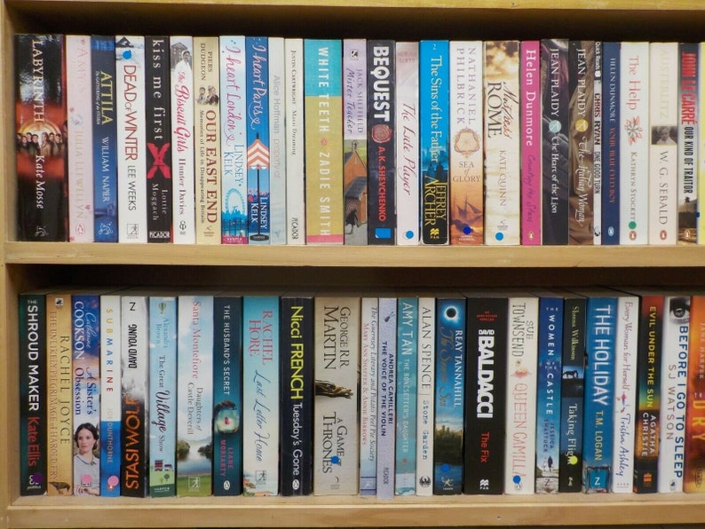 May include: A bookshelf filled with a variety of paperback books. The books are organized by color and genre. Some of the titles include "The Sins of the Father", "The Lute Player", "White Teeth", "I Heart Paris", "The Husband's Secret", "A Game of Thrones", "The Holiday", and "Before I Go to Sleep".