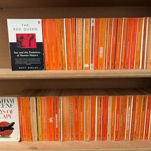 Libros de Orange Penguin: 100 pingüinos naranjas de gran formato