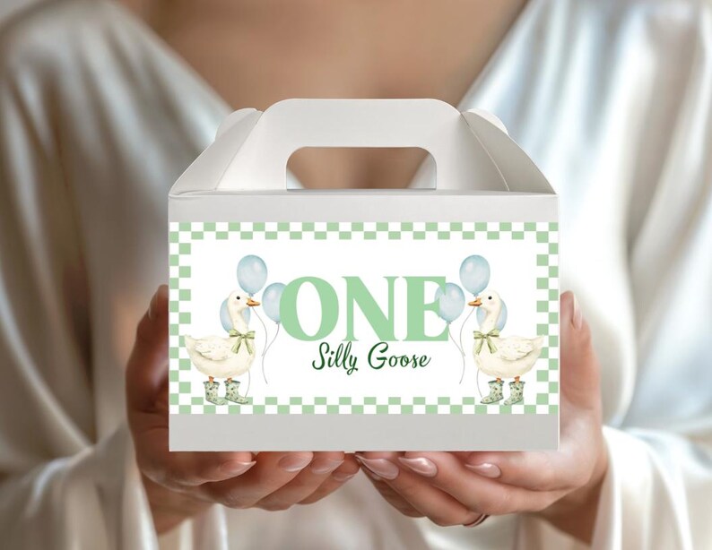 May include: White party favour box with a handle, featuring a green and white chequered border. The box is decorated with the words "ONE Silly Goose", two geese, and blue balloons. The box is held by a person.