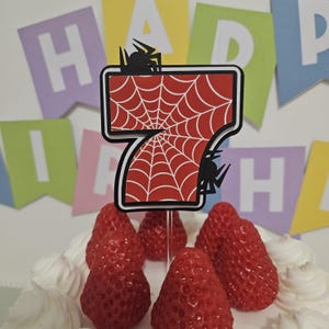 Personalised Spider Birthday Cake Topper | Spider Birthday Party Decoration | Custom Age Cake Topper image 6