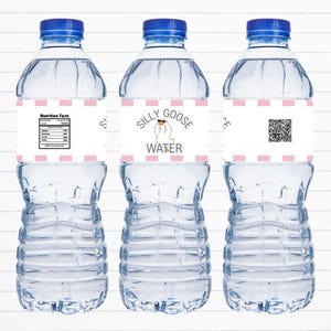 Etiquetas para botellas de agua Silly Goose, color rosa, para imprimir, para el primer cumpleaños. imagen 3