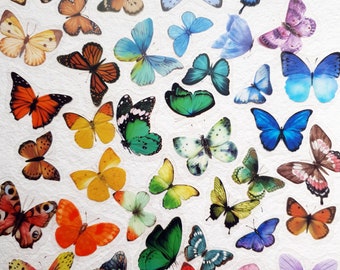 Butterfly Stickers Set, Pack of 50, Multicour Colours, Watercolour style, Add a Touch of Nature to your Journal, Phone, Cards or Laptop!