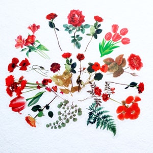 Pacote de adesivos de flores secas selvagens, conjunto de 40, temas vermelho/roxo/amarelo, realista transparente, para um Boho, diário/laptop inspirado na natureza