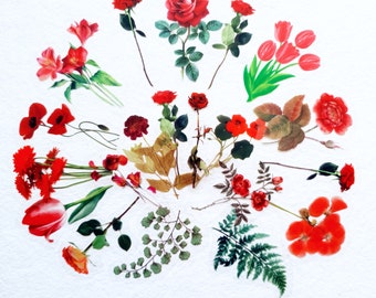 Wild Dried Flower Sticker Pack, Set of 40, Red/Purple/Yellow themes, Transparent Realistic, for a Bohemian, Nature-Inspired Journal/laptop