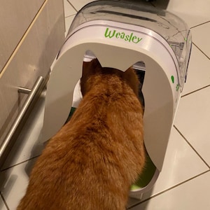 May include: A ginger cat looking into a white automatic self-cleaning litter box with the word "Wesley" printed on the front.