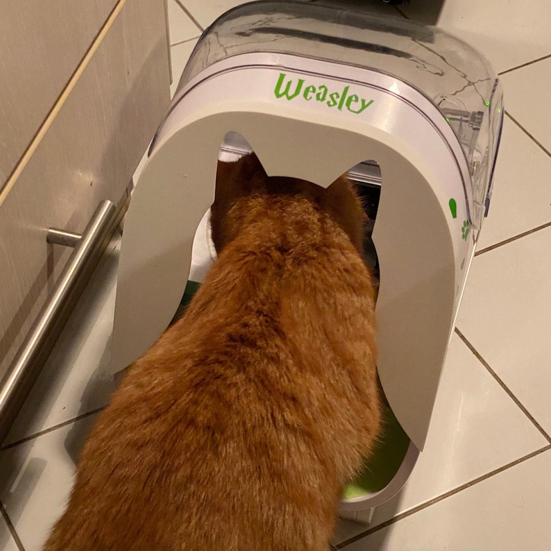 May include: A ginger cat looking into a white automatic self-cleaning litter box with the word "Wesley" printed on the front.