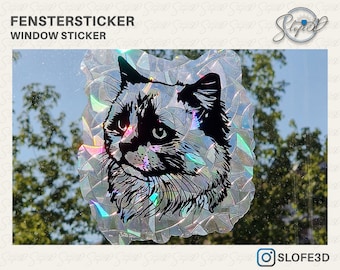 Fenstersticker Sonnenfänger Motiv Katzerassen I Regenbogenfolie wiederverwendbarer Fensteraufkleber