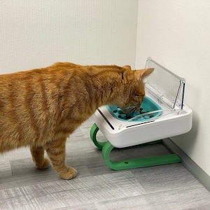 May include: A ginger cat eats from a white and green automatic pet feeder with a clear plastic lid. The feeder has a blue bowl with small, dark brown kibble inside.