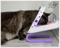 Stand for SureFeed® Microchip Pet Feeder +9 cm/3.5 in I 3D printing product logo
