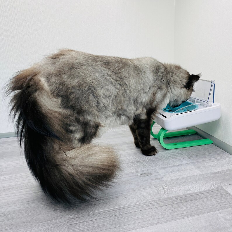 May include: A gray and white cat with a long tail is eating from a white and green automatic pet feeder.