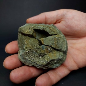 Fossil Druzy Pyrite Nodule | Volga River Russia | Sparkling Mineral Specimen 217g