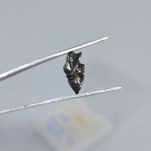 Campo del Cielo Meteorite | Space Rock Specimen | Argentina Nickel Iron
