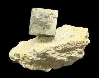 Può includere: Un cristallo di pirite cubico color oro metallizzato fissato su una matrice minerale irregolare, ruvida e di colore beige chiaro. Il cubo di pirite presenta bordi netti e una superficie liscia e riflettente, in contrasto con la roccia porosa.