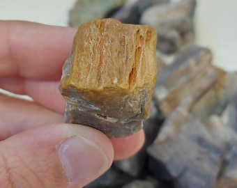 Petrified Wood | Raw Fossil Stone | Ancient Rough Rock for Decor or Healing