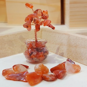 Op de afbeelding: Een decoratieve edelsteenboom met een koperdraadstam en takken, versierd met oranje en rode stenen. De boom staat in een kleine glazen pot gevuld met vergelijkbare stenen. Losse stenen zijn rond de basis verspreid, wat een natuurlijke uitstraling creëert.