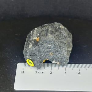 Black tourmaline rough crystal photographed upright showing natural growth pattern