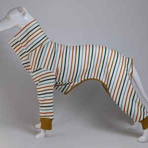 Soft stretch Greyhound, Whippet & Sighthounds 4 legged pyjamas / jumper in Autumn stripes in 22"-33.5" back lengths