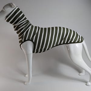 May include: A dog hoodie in olive green and white stripes. The dog sweater has a high neck and a black trim around the armholes and bottom. The dog apparel is displayed on a white mannequin.