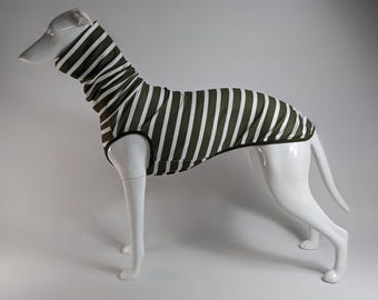 May include: A dog sweater featuring a dark olive green and white vertical striped pattern. The garment includes a high turtleneck collar and dark trim around the leg openings, designed to fit a slender canine body shape with a long torso.