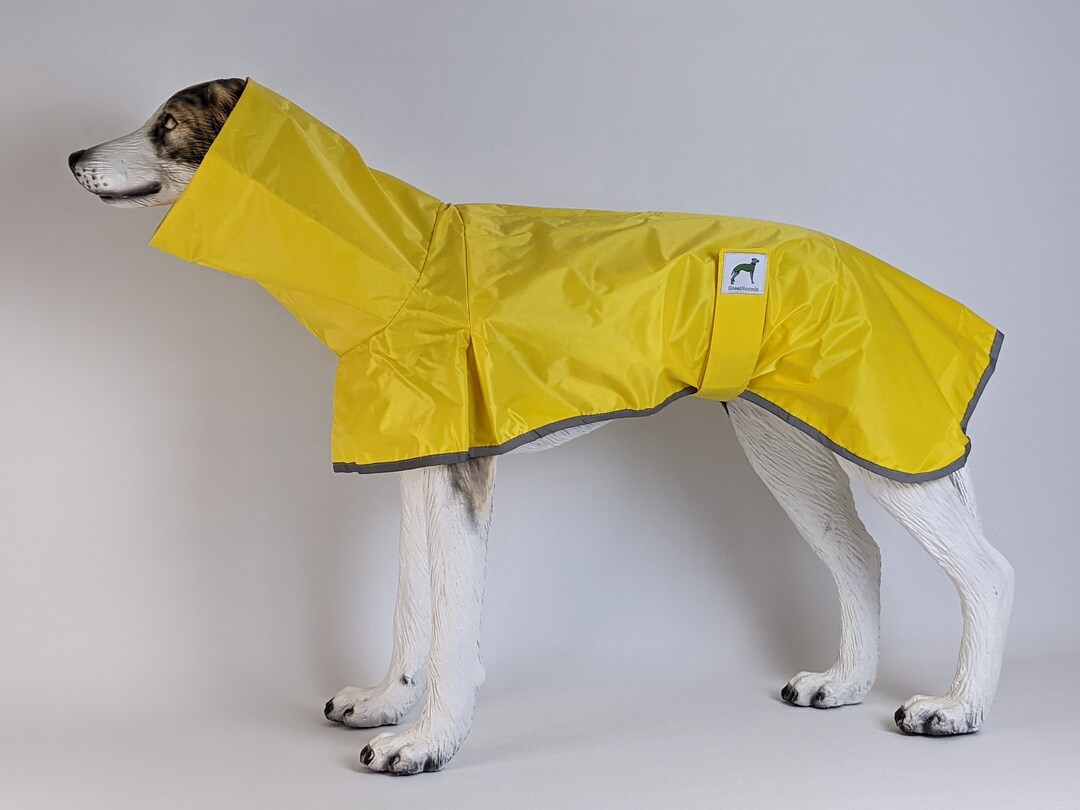 Waterproof Yellow Snood Neck Raincoat Jacket for Greyhounds, Whippets