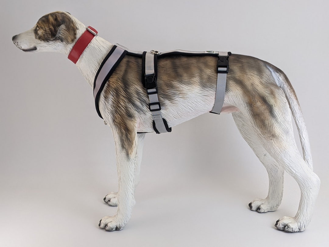 Triple Strap Grey Adjustable Y Harness for Greyhounds, Large Whippets